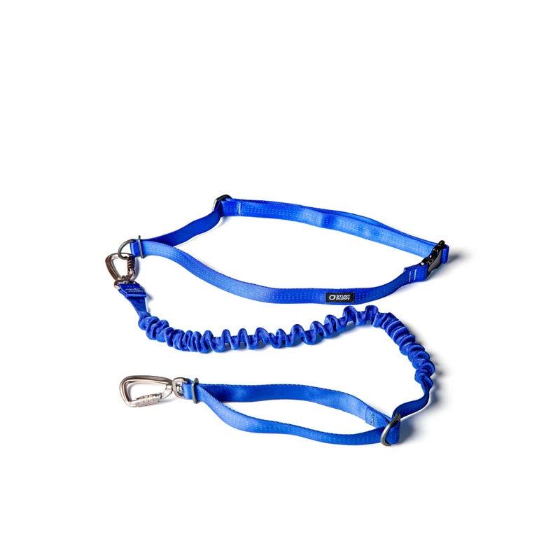 Stunt Puppy Correa Para Mascota OSFA